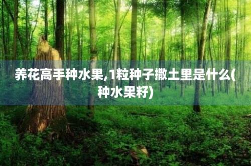 养花高手种水果,1粒种子撒土里是什么(种水果籽)