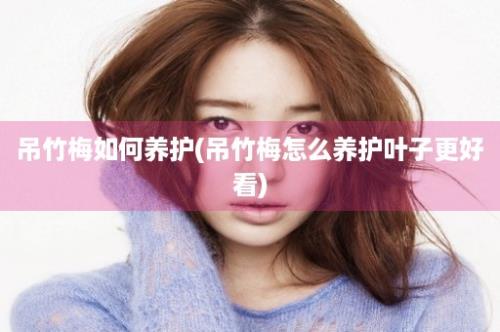 吊竹梅如何养护(吊竹梅怎么养护叶子更好看)