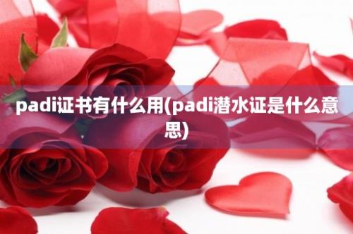 padi证书有什么用(padi潜水证是什么意思)