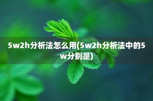 5w2h分析法怎么用(5w2h分析法中的5w分别是)