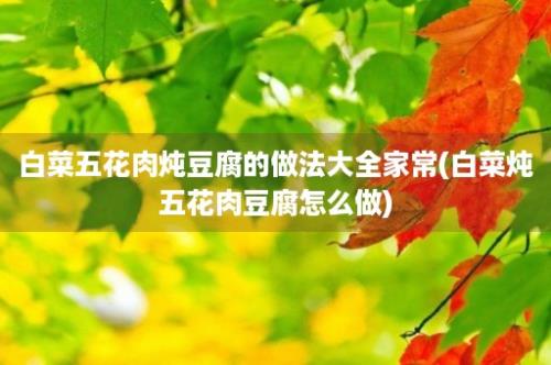 白菜五花肉炖豆腐的做法大全家常(白菜炖五花肉豆腐怎么做)