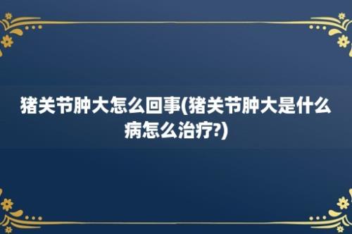 猪关节肿大怎么回事(猪关节肿大是什么病怎么治疗?)