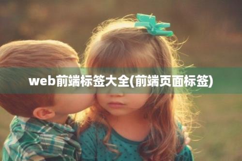 web前端标签大全(前端页面标签)