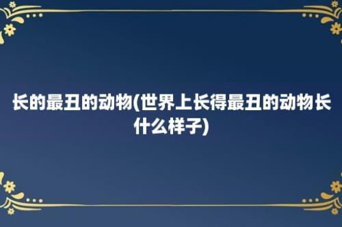 长的最丑的动物(世界上长得最丑的动物长什么样子)