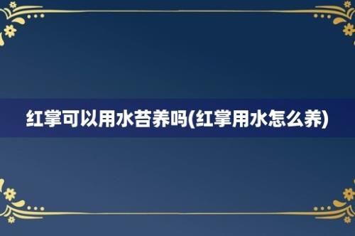 红掌可以用水苔养吗(红掌用水怎么养)