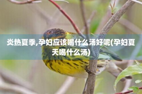 炎热夏季,孕妇应该喝什么汤好呢(孕妇夏天喝什么汤)