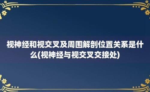 视神经和视交叉及周围解剖位置关系是什么(视神经与视交叉交接处)