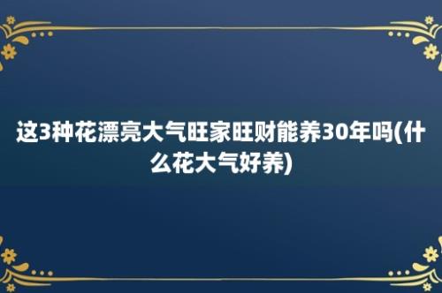 这3种花漂亮大气旺家旺财能养30年吗(什么花大气好养)