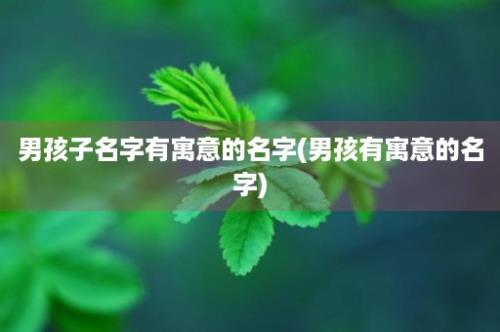 男孩子名字有寓意的名字(男孩有寓意的名字)