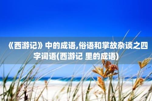 《西游记》中的成语,俗语和掌故杂谈之四字词语(西游记 里的成语)