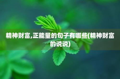 精神财富,正能量的句子有哪些(精神财富的说说)