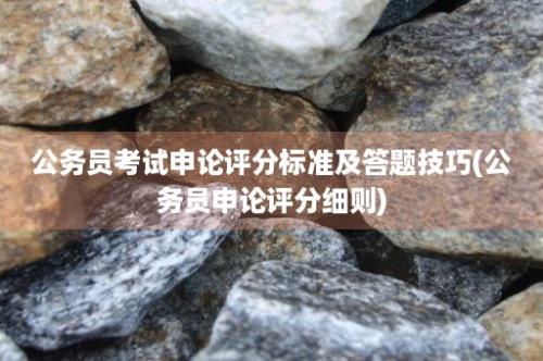 公务员考试申论评分标准及答题技巧(公务员申论评分细则)