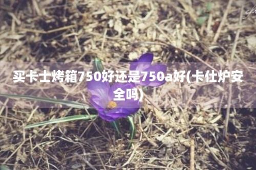 买卡士烤箱750好还是750a好(卡仕炉安全吗)