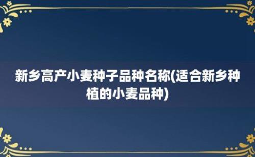 新乡高产小麦种子品种名称(适合新乡种植的小麦品种)