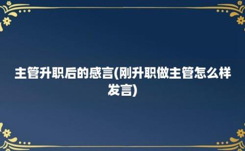 主管升职后的感言(刚升职做主管怎么样发言)