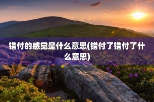 错付的感觉是什么意思(错付了错付了什么意思)