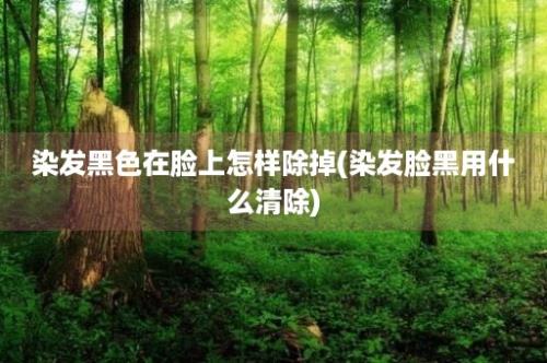 染发黑色在脸上怎样除掉(染发脸黑用什么清除)