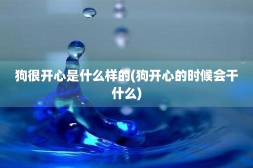 狗很开心是什么样的(狗开心的时候会干什么)