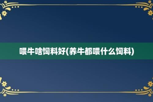 喂牛啥饲料好(养牛都喂什么饲料)