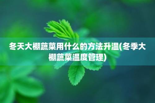 冬天大棚蔬菜用什么的方法升温(冬季大棚蔬菜温度管理)