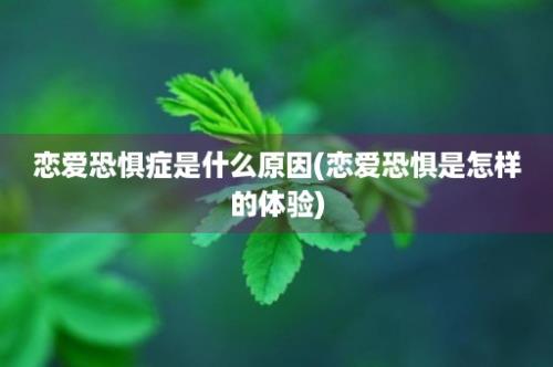 恋爱恐惧症是什么原因(恋爱恐惧是怎样的体验)