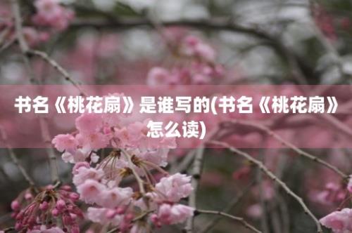 书名《桃花扇》是谁写的(书名《桃花扇》怎么读)