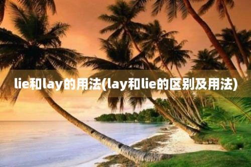 lie和lay的用法(lay和lie的区别及用法)