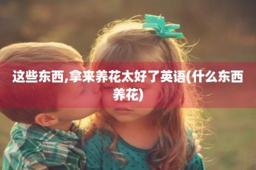 这些东西,拿来养花太好了英语(什么东西养花)