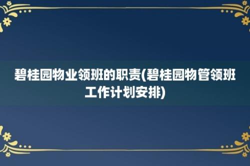 碧桂园物业领班的职责(碧桂园物管领班工作计划安排)