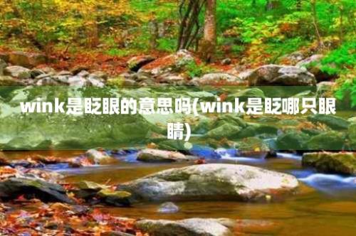 wink是眨眼的意思吗(wink是眨哪只眼睛)