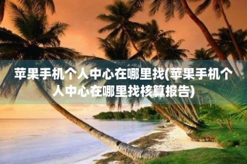 苹果手机个人中心在哪里找(苹果手机个人中心在哪里找核算报告)