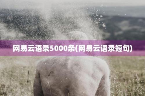 网易云语录5000条(网易云语录短句)