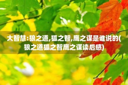 大智慧:狼之道,狐之智,鹰之谋是谁说的(狼之道狐之智鹰之谋读后感)