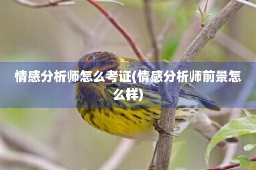 情感分析师怎么考证(情感分析师前景怎么样)