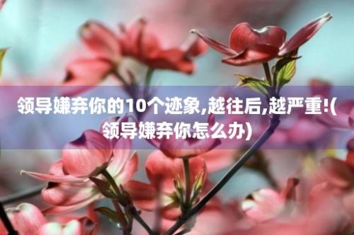 领导嫌弃你的10个迹象,越往后,越严重!(领导嫌弃你怎么办)