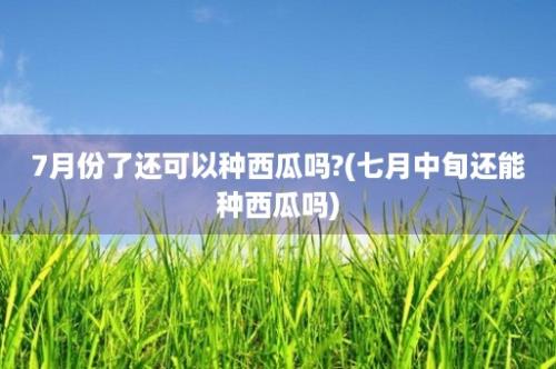 7月份了还可以种西瓜吗?(七月中旬还能种西瓜吗)