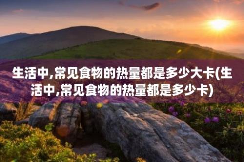 生活中,常见食物的热量都是多少大卡(生活中,常见食物的热量都是多少卡)