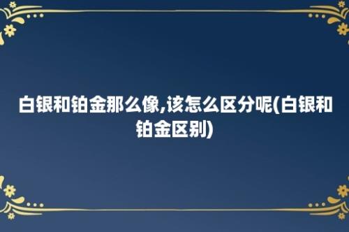 白银和铂金那么像,该怎么区分呢(白银和铂金区别)