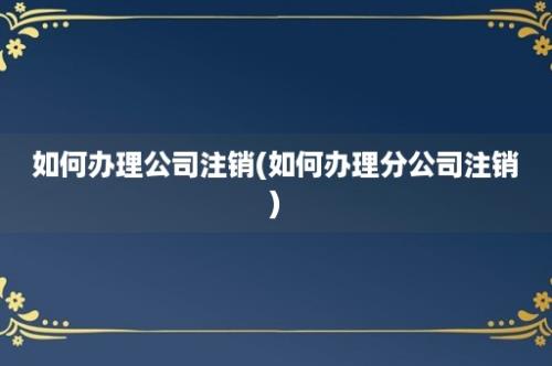 如何办理公司注销(如何办理分公司注销)