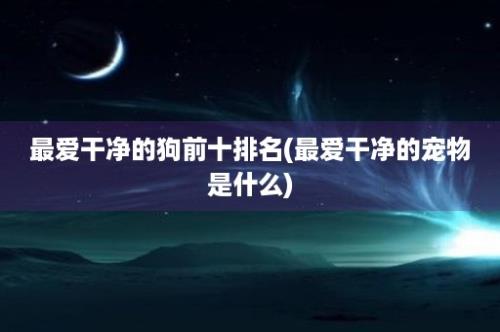 最爱干净的狗前十排名(最爱干净的宠物是什么)