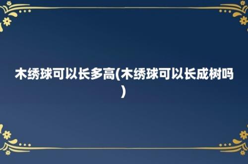 木绣球可以长多高(木绣球可以长成树吗)