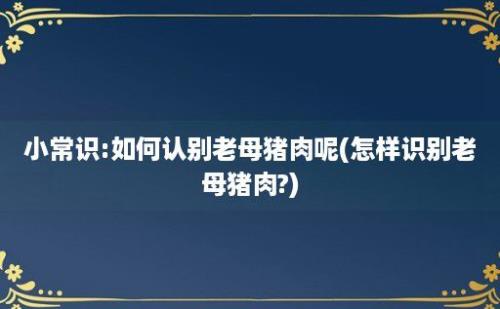 小常识:如何认别老母猪肉呢(怎样识别老母猪肉?)