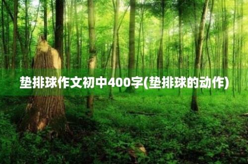 垫排球作文初中400字(垫排球的动作)