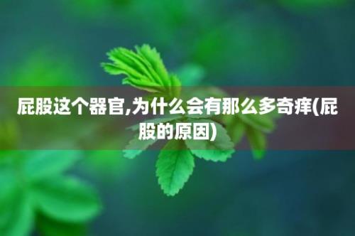 屁股这个器官,为什么会有那么多奇痒(屁股的原因)