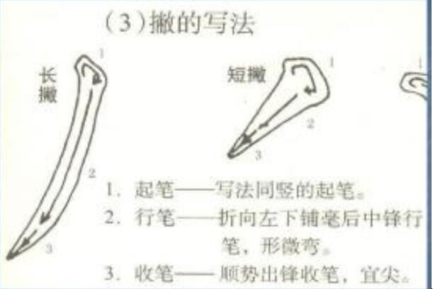 毛笔书法入门教程