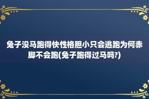 兔子没马跑得快性格胆小只会逃跑为何赤脚不会跑(兔子跑得过马吗?)