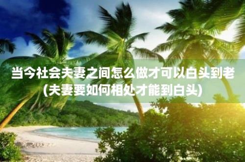 当今社会夫妻之间怎么做才可以白头到老(夫妻要如何相处才能到白头)