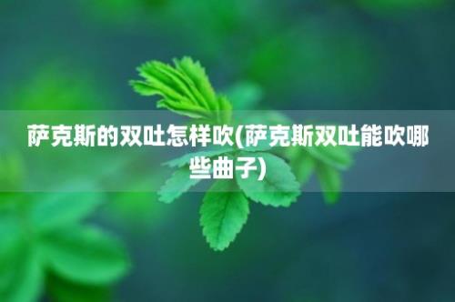 萨克斯的双吐怎样吹(萨克斯双吐能吹哪些曲子)