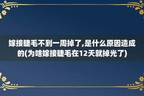 嫁接睫毛不到一周掉了,是什么原因造成的(为啥嫁接睫毛在12天就掉光了)