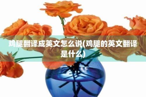 鸡腿翻译成英文怎么说(鸡腿的英文翻译是什么)